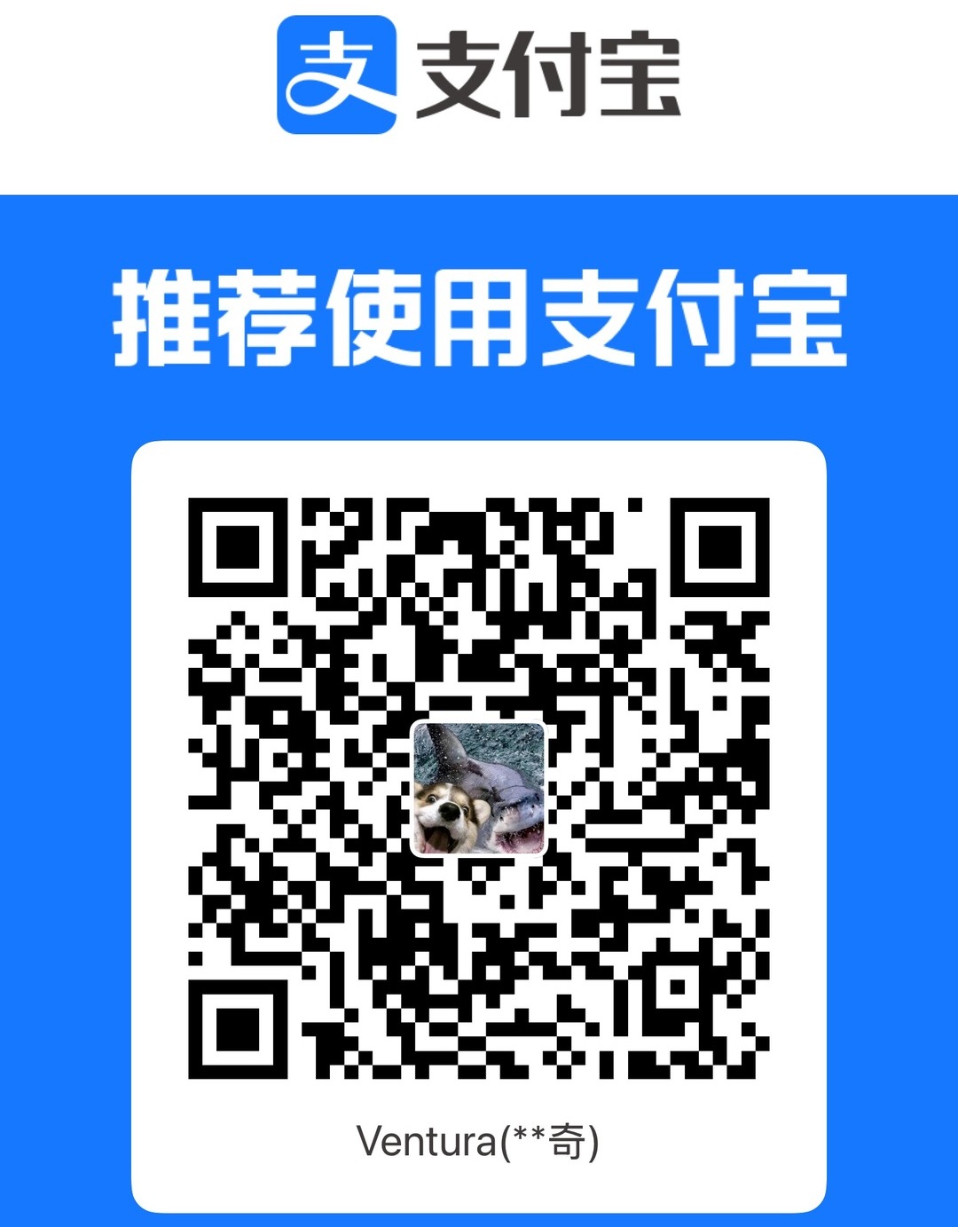 Alipay QR Code / 支付宝打赏二维码